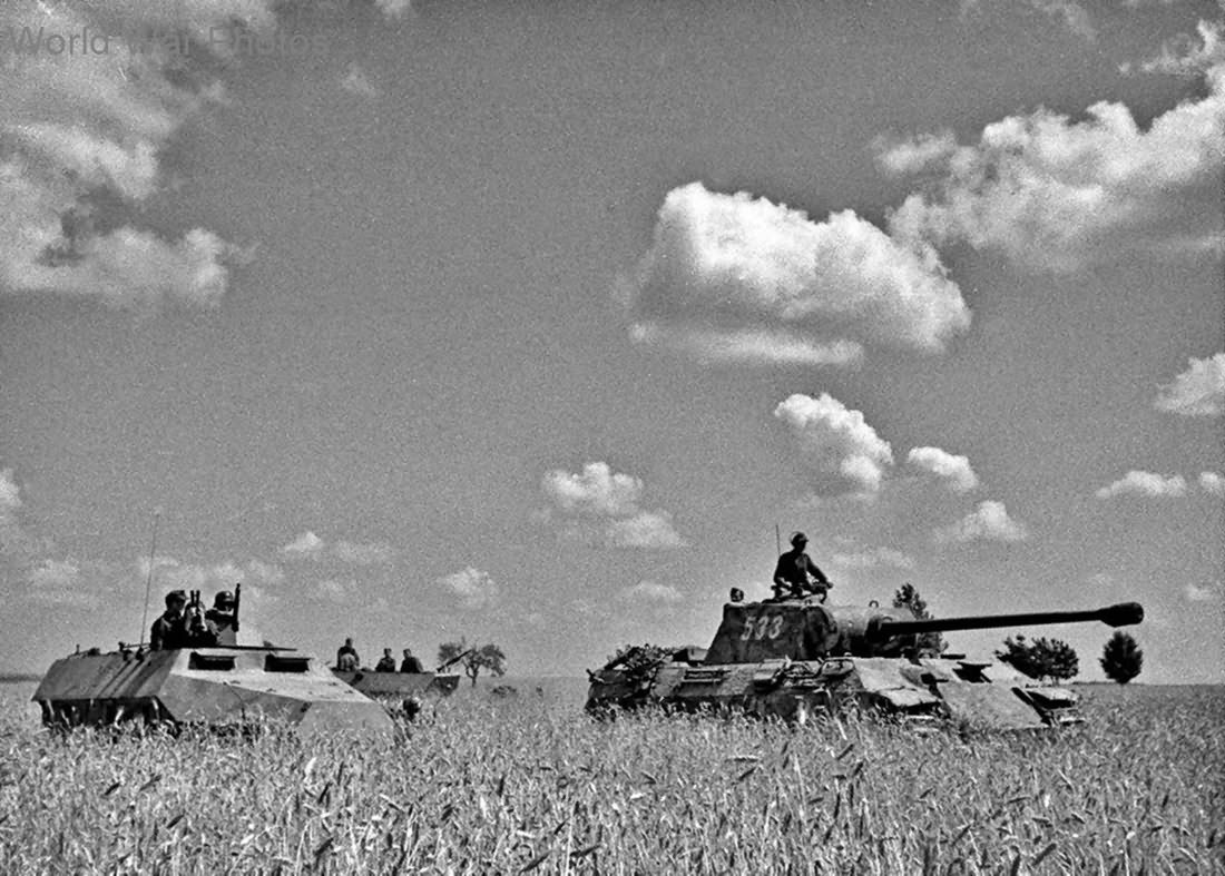 Panther Ausf A 533 and SdKfz 251 of the 5th SS Panzer Division Wiking