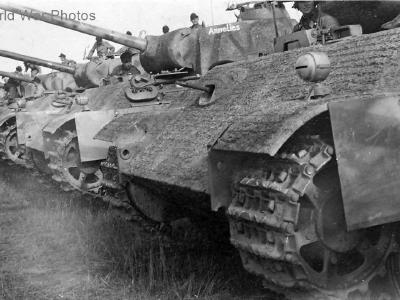 Panthers of the 116. Panzer-Division, 1944