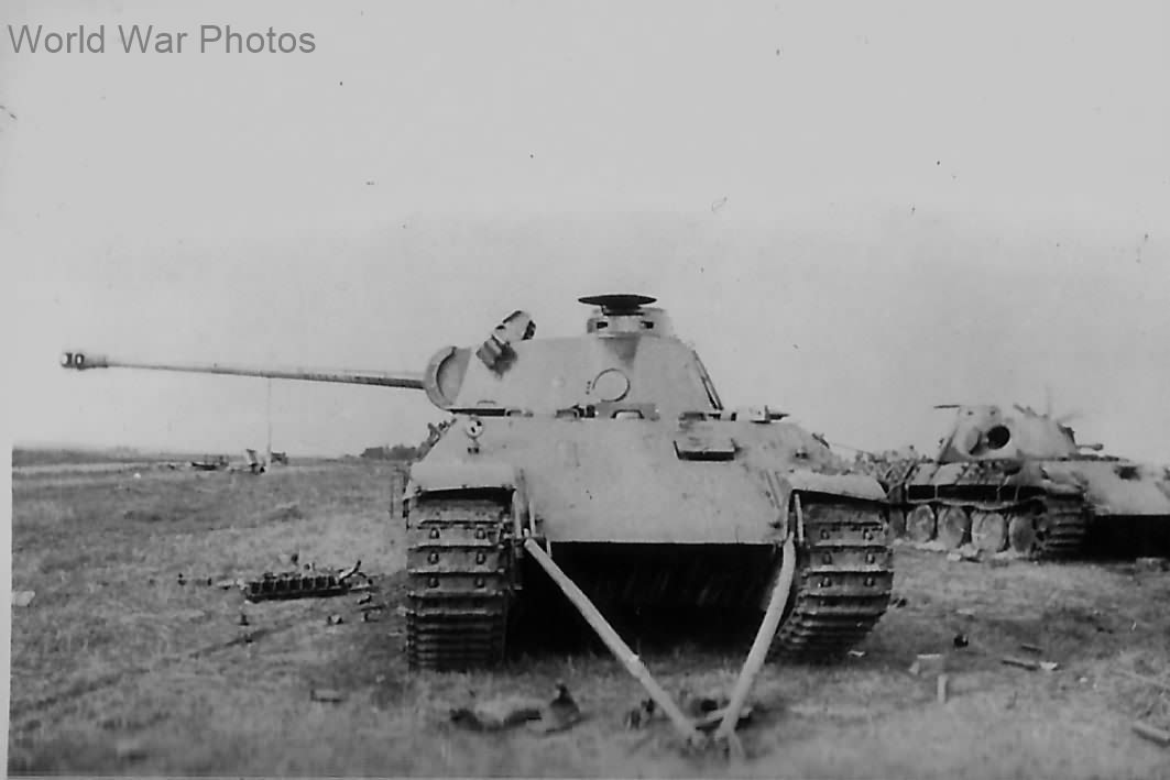 Panthers Ausf D of the Panzer Regiment 39, Kursk 1943