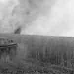 Panzerkampfwagen II