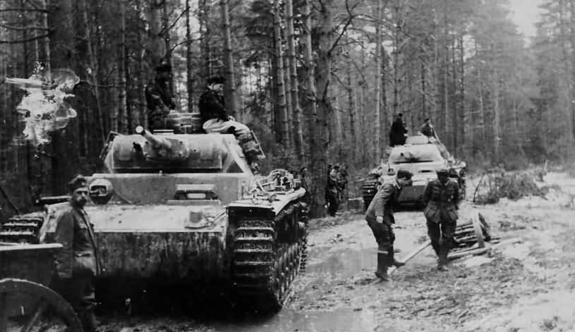 Panzer III in forest