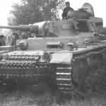 Panzer III number 525 of the 5th Panzer Division