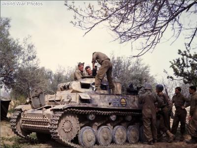 Captured Panzer II Africa