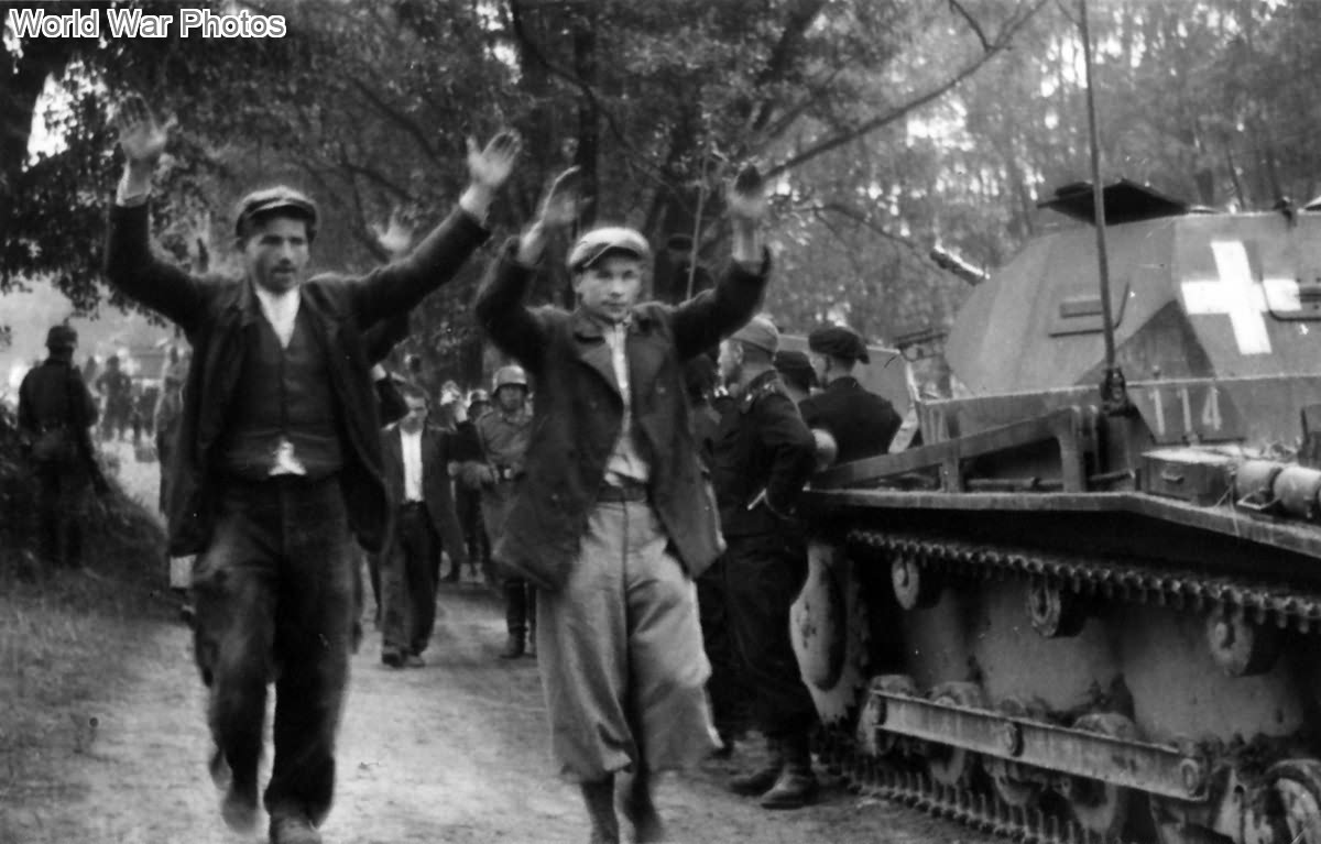 Panzer II 114 of the 4. Panzer Regiment