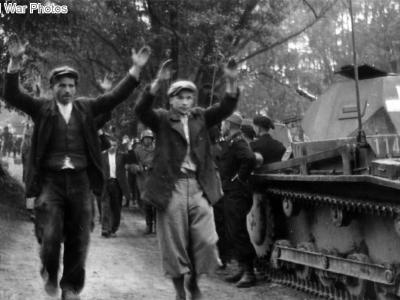 Panzer II 114 of the 4. Panzer Regiment