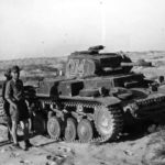 Panzer II I04 of the Deutsches Afrika Korps