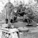 Panzer II of the Panzerregiment 35