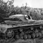 Panzer III Ausf D tactical number 431