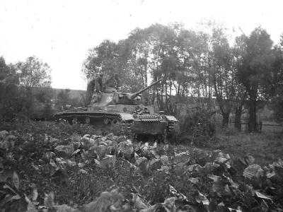 Panzer III Langrohr code 25 of the 11 Pz Division – Eastern Front 1942