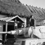 Panzer III Ausf H of the 3rd Panzer Division – winter camo