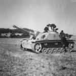 StuG from 1. Divisione corazzata CCNN „M”