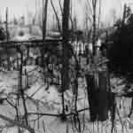 StuG 40 Eastern Front