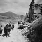 5th Army Troops and Mules Pass German StuG 40 Assault Gun Castelforte Italy 1944