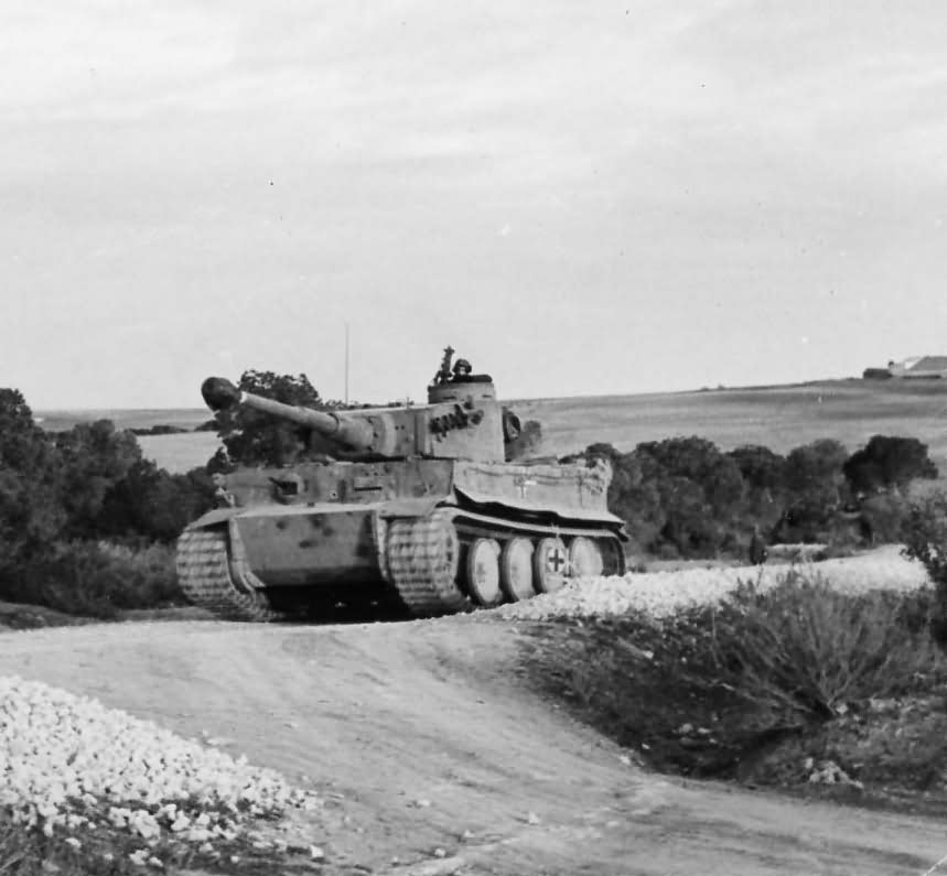 Tiger I number 11 of Schwere Panzer Abteilung 501 in Tunisia, Afrika Korps