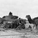 Tiger tank number 111 of Schwere Abteilung 501 in Tunisia Afrika DAK