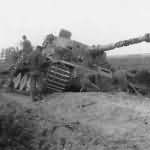 Tiger 1 Ausf. E