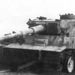 Destroyed Panzer VI Tiger of Schwere Panzer-Abteilung 505, tank number 231