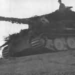 Tiger panzer VI 4