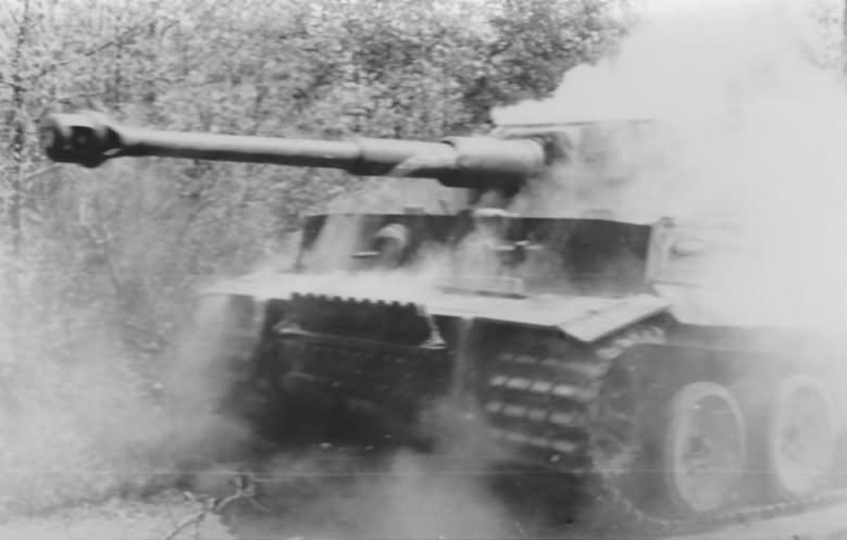 Tiger I tank number 321 of sPzAbt. 503