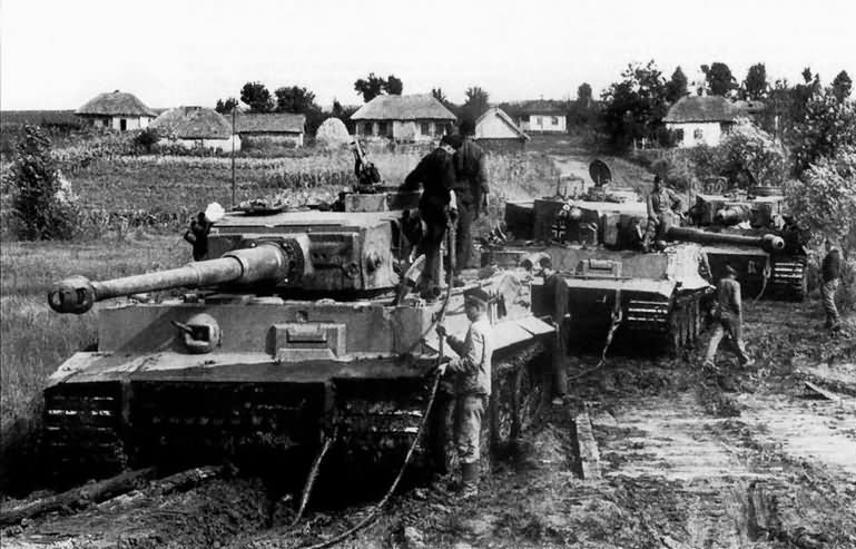 Tiger I tanks number 332 321 331 of sPzAbt. 503 during field exercises