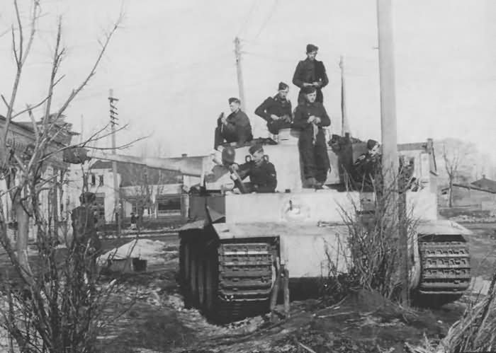 Tiger I number 832 of 8/SS Panzer Regiment 2 Das Reich, 1942/43