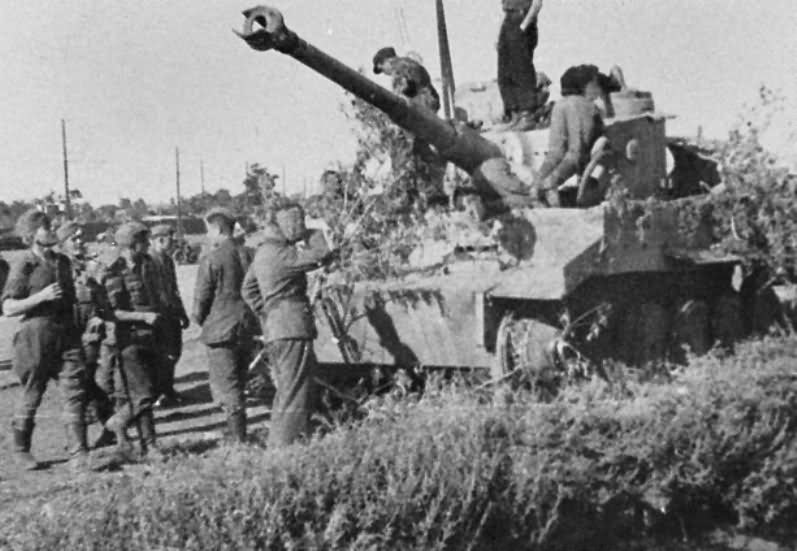Tiger I tank 43
