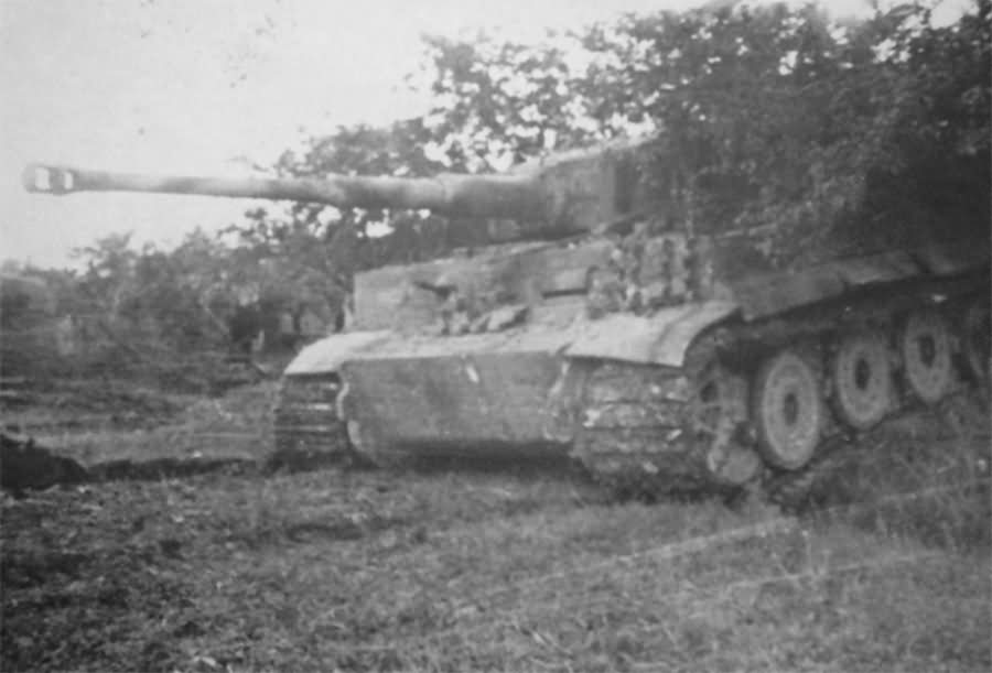 Tiger with steel wheels of the schwere Panzer-Abteilung 508. Italy 1944