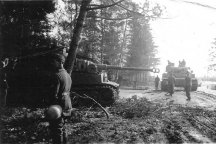 Tiger of the schwere Panzer Abteilung 502 tank number 2