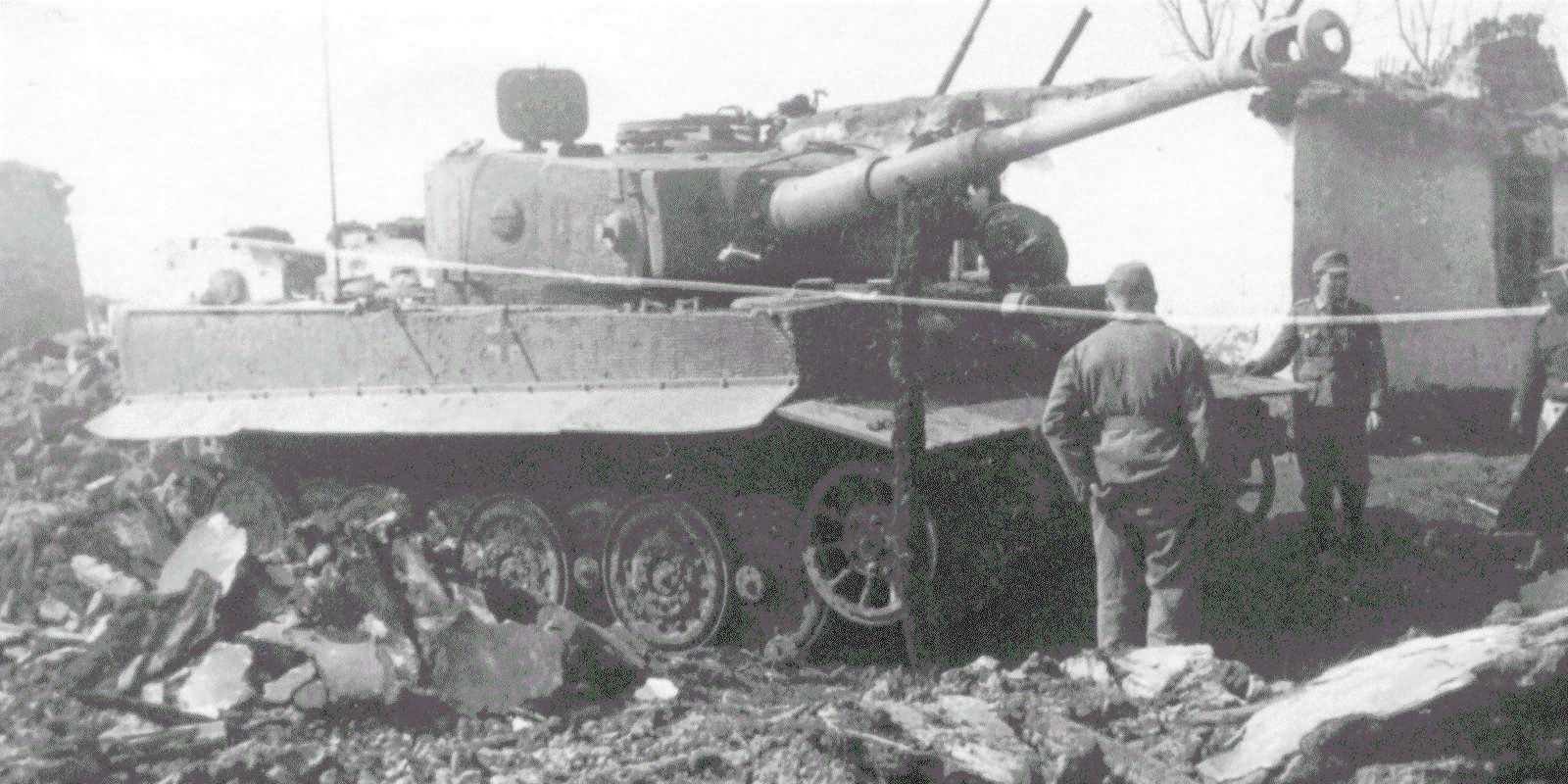 Tiger tank number 101