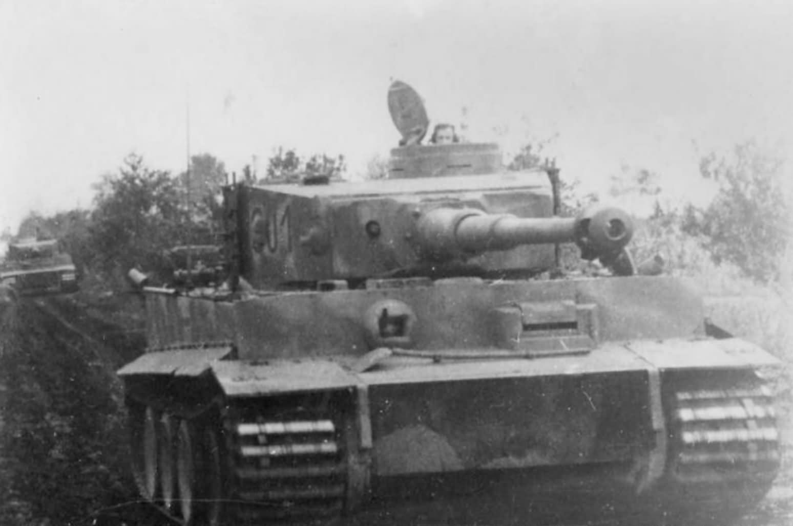 Tiger tank coded C01 of the III/Panzer Regiment Grossdeutschland