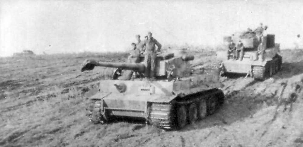 Tigers tanks of the 2nd SS Panzer Division Das Reich