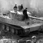 German Tiger I 12
