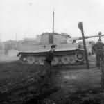 German Tiger I 9