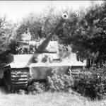 Panzer VI Tiger #912 of 3rd SS Panzer Division Totenkopf in Poland front view
