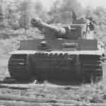 PzKpfw VI Tiger Ausf. E of Schwere Panzer-Abteilung 503, tank number 324 10