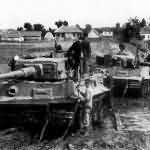 Tiger I tanks number 332 321 331 of sPzAbt. 503 during field exercises