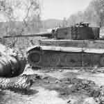 German Tiger Ausf E late (steel wheels), of schwere Panzer-Abteilung 508. Villa La Sfacciata Italy
