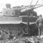 Tiger tank number 101