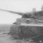 Panzer VI Tiger of Schwere Panzer-Abteilung 503, tank number 300