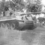 Panzer VI Tiger of Schwere Panzer-Abteilung 505, tank number 213