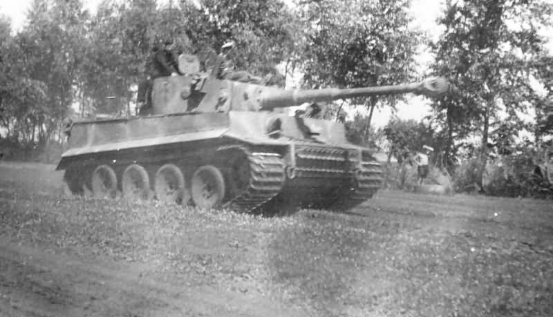 Panzer VI Tiger of Schwere Panzer-Abteilung 505, tank number 213