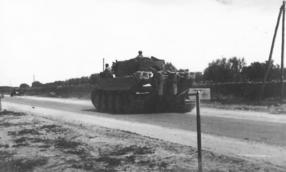 Tiger I Afrika Korps DAK