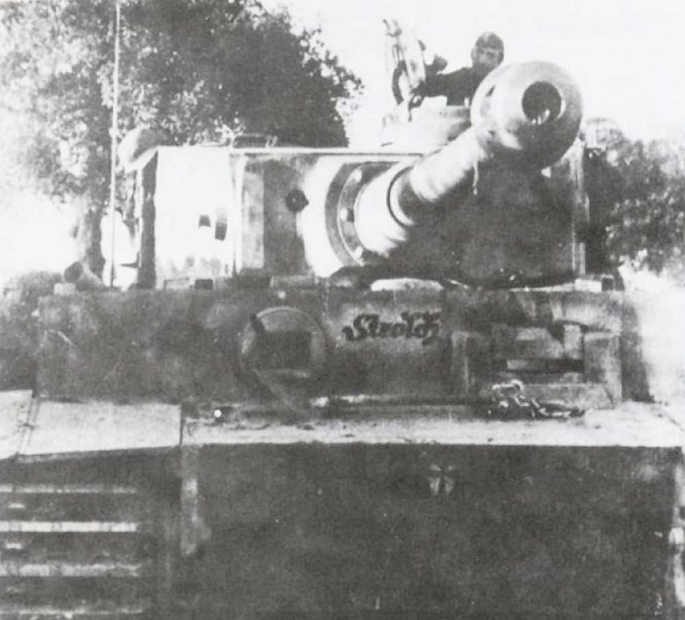 Tiger I number 8 „Strolch” Italy 1944