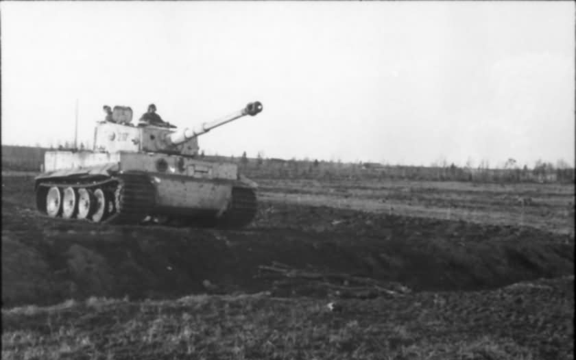 Tiger tank 217 of of schwere Panzer-Abteilung 503 – winter camo