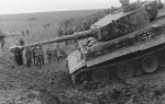 Panzer VI Tiger of Schwere Panzer-Abteilung 503, tank number 311 1943