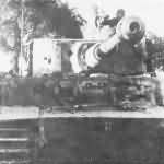Tiger I number 8 „Strolch” Italy 1944