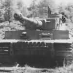 Tiger tank 324 of the of schwere Panzerabteilung 503, 1943