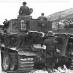 Tiger tank 3