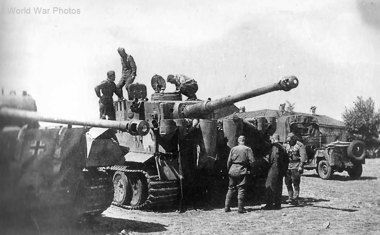 Captured Panther Ausf D and Tiger „132” of the Schwere Panzer Abteilung 503, Summer 1943 2