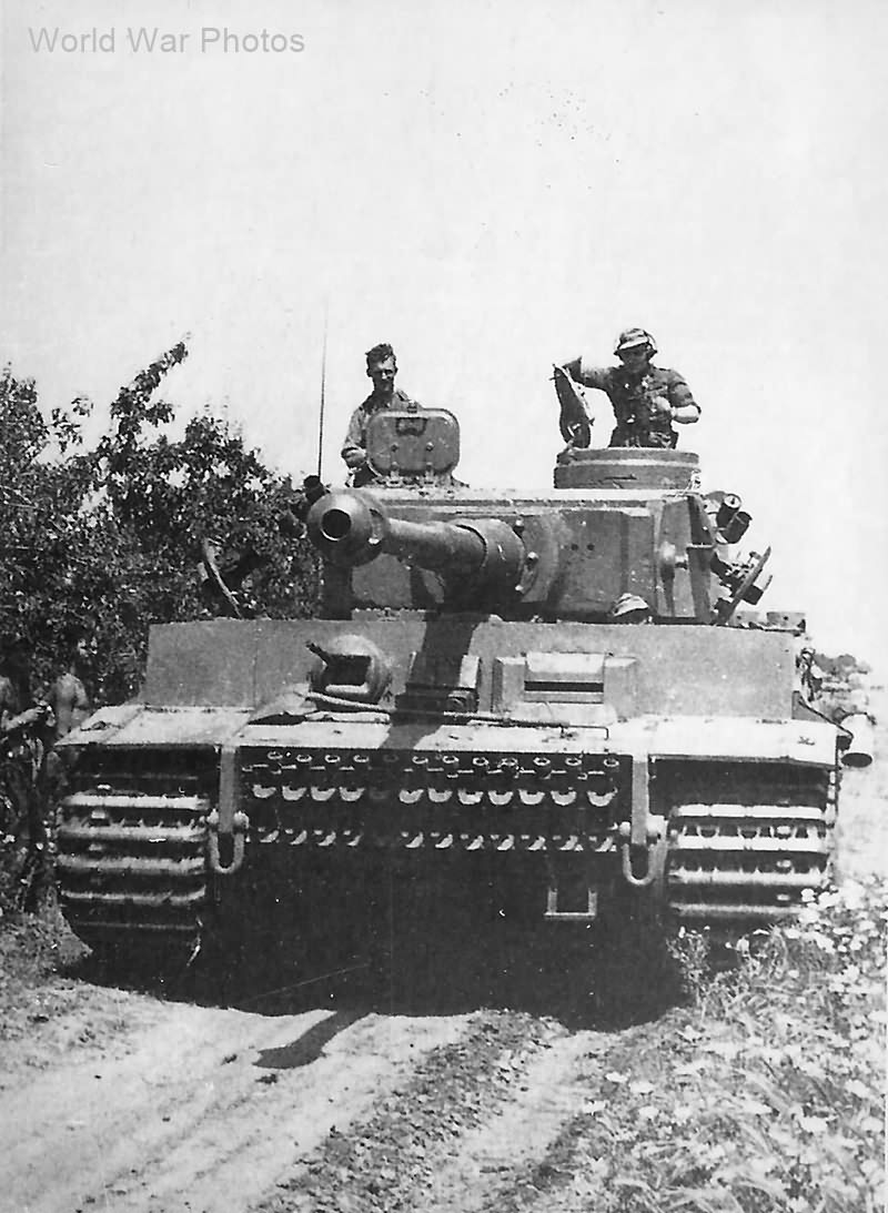 Tiger tank „222” of the of Schwere Panzer Abteilung 504, Sicily